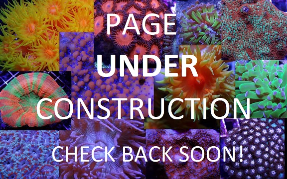 Under Construction